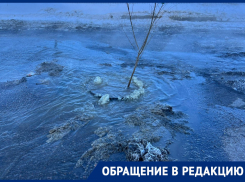 На воронежской улице появился каток-кипяток, вырвавшийся из канализационного люка 