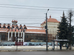 Федеральный чиновник проверит скандальную реконструкцию театра кукол в Воронеже