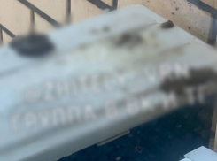 Вонючий «сюрприз» на окне шокировал жителей Воронежа