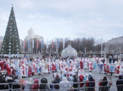 В Воронеж на парад Дед Морозов приехала леопардовая Снегурочка 