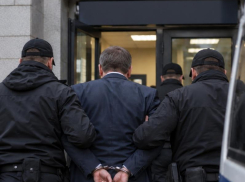 Воронежского начальника полиции уволили за порочащий честь мундира поступок