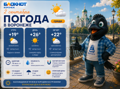 Плавное похолодание придет в Воронеж с началом осени 