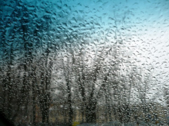 Воронежский гидрометцентр: В городе будет лить дождь только в выходные