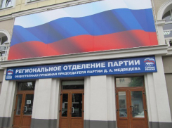 Воронежские единороссы не будут влиять на муниципальный фильтр на выборы губернатора