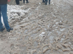 В грязное местечко превратилась остановка в Воронеже