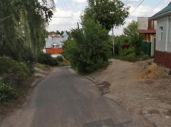 Из-за вырубки аварийного дерева власти закроют улицу в центре Воронежа