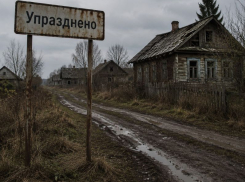 Сразу два поселка официально исчезли с карты Воронежской области