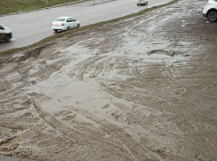 «Памятник мегагрязи» нашли в Воронеже