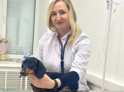 Правда и мифы о стерилизации домашних животных