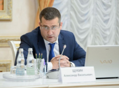 Ближайшую отставку предрекли главе воронежского облздрава Александру Щукину