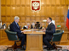 Голландцы будут доделывать Центральный парк в Воронеже