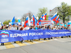 В праймериз воронежской «Единой России» исключают участников с судимостями 