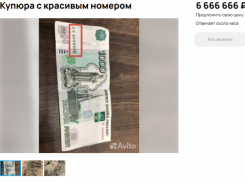 Тысячную купюру продают за бешеные деньги в Воронеже 