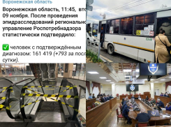 Коронавирус в Воронеже 9 ноября: +793 заражения, бесплатные тексты на ковид и способ получить медотвод