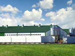 Жители двух сел из-за нового свинокомлпекса задыхаются от неприятных запахов