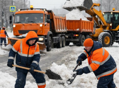 Читатели «Блокнота» назвали район Воронежа с лучшей уборкой 