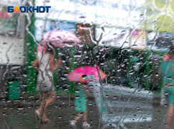 Дождем встретит новую рабочую неделю Воронеж 