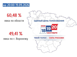 Объявлена итоговая явка по результатам двух дней голосования в Воронежской области 