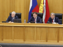 Учись, Госдума: как воронежские депутаты с рекордной скоростью принимают новые законы