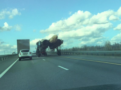 Истребитель Су-34 потеснил автомобилистов на трассе М-4 «Дон»