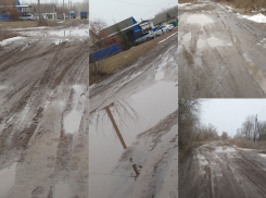 «Голосуем за лучшего в мире президента, а чиновники не чешутся», - воронежцы пожаловались на лютое бездорожье