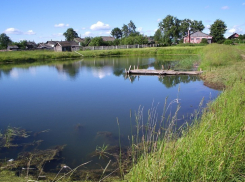 В Грибановском районе 14-летняя девочка спасла тонувшего в пруду ребенка