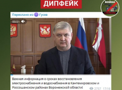 Обращение Александра Гусева из-за отключения света в двух воронежских районах оказалось фейком