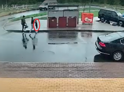 Пса, которого переехали машиной и выкинули в мусорку, спасает воронежский зоозащитник 