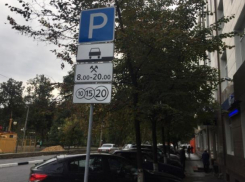 Многодетные семьи смогут бесплатно парковаться в центре Воронежа