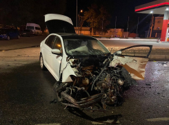 Стали известны подробности жуткого ночного ДТП на Пеше-Стрелецкой в Воронеже