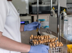 Число заражений коронавирусом в Воронежской области превысило 500 человек