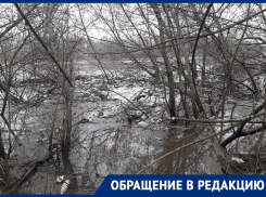 Печальную картину разлива реки Дон показали жители воронежского села