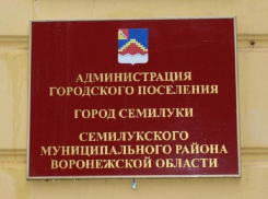 7 млн за 7 месяцев: семилукские чиновники шиканули за счёт бюджета