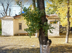 Выход из ситуации с разрушающейся старинной баней нашли чиновники в Воронеже