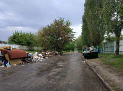 В Воронеже субботники спровоцировали рост платы за мусор