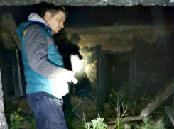 В Воронеже показали, как шли поиски пропавшей девочки, которую убил родственник