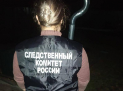 СК прокомментировал убийство и изнасилование помощника воронежского депутата 