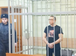 Дело ректора Воронежского госуниверситета Ендовицкого могут передать в другой регион
