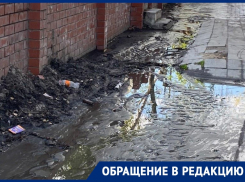 «Стыдно за наш город»: воронежец пожаловался на грязь у автовокзала