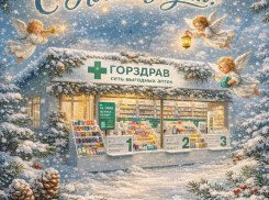 Сеть аптек «Горздрав» поздравляет всех жителей Воронежа с Новым Годом и Рождеством! 