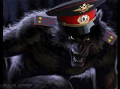 Сотрудник ДПС заплатит 750 тысяч рублей за получение взяток в Воронеже 