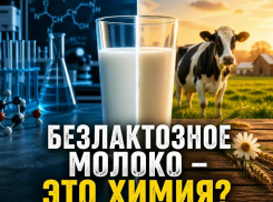 Химия или нет: технолог из Воронежа объяснила, из чего состоит безлактозное молоко 