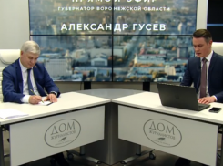 Растаявший снег обнажил десятки упавших беспилотников в Воронежской области 