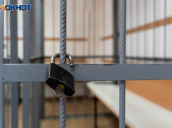 Сколько преступлений зарегистрировали в Воронежской области в 2025 году