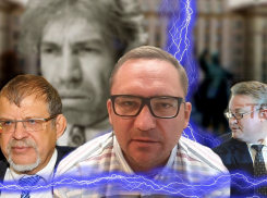 Между депутатом Пономарёвым и мэром Кстениным пробежал воронежский Шариков