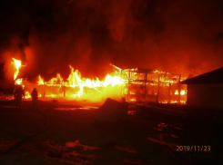 Чего лишились воронежцы из-за жуткого пожара в Ломовском парке