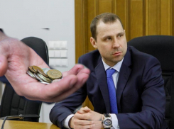 Довыборы в облдуму Нетесова влетят воронежцам в большую копеечку