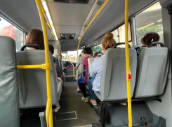 Мэрия признала нарушение со стороны воронежского перевозчика