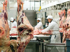 В Воронежской области построят крупнейший в Павловске мясокомбинат