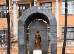 Мэрия Воронежа приведет в порядок памятник медработникам